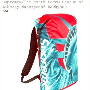 Supreme northface Statue of Liberty backpack